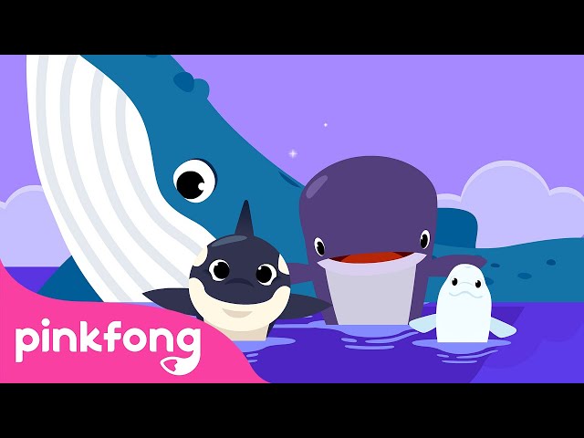 Vídeo relacionado con DECOWALL Adhesivo decorativo para pared, diseño de animales oceánicos, acuarela, ballena, tiburón, delfín, animales marinos, para habitación de niños y bebés, extraíble y educativo (SG2-2518)