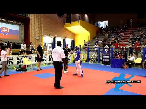 Desmond Leonard v Richard Veres   Open Weight 2014 BESTFIGHTER WAKO World Cup 2014