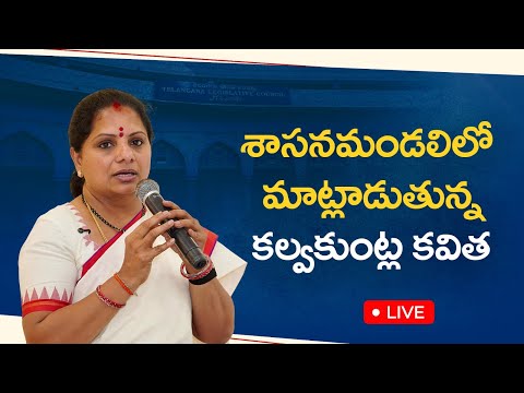 Speaking in Legislative Council