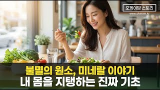 비타민은 챙기면서 왜 미네랄은 놓칠까? 내 몸의 진짜 '불멸의 원소' 이야기