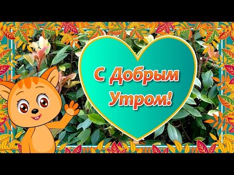 Доброе Осеннее Утро🌞Пожелания с Добрым Утром🌼Доброе Утро Хорошего Дня