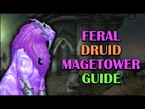 How to complete the Feral Druid Magetower Challenge | Guide | The War Within 11.1.7