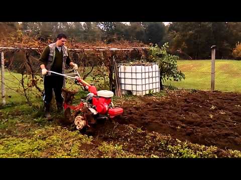 Kopija videoposnetka oranje honda mio standard 600 f 2016,