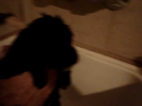 Catalina en su primer baño!