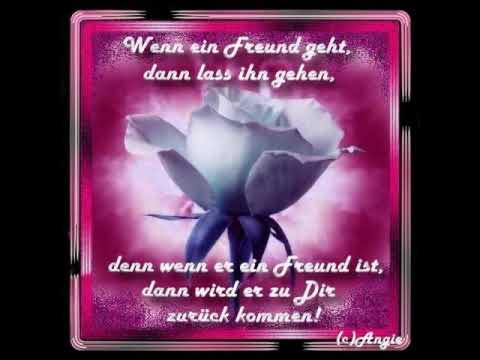 Silke Bischoff - No Paradise