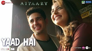 Yaad Hai - Aiyaary - Palak Mucchal &amp; Ankit Tiwari - Lyrical Video With Translation