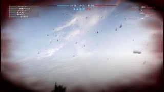 これがBF5の9と4分の3なのか…・プチバグ