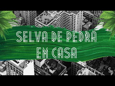 Selva em Casa #2