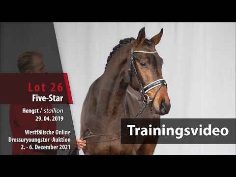 Online Dressuryoungster-Auktion Training Lot 26 Five-Star v. Fürst Samarant - Rock Forever I
