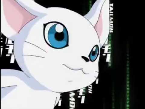 Every Jogress Evolution in Digimon Adventure 02 (Eng Sub)