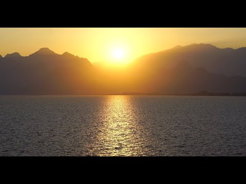 Don't Dream It's Over Cover by biz colletti (Sullivan's Crossing Season 3 Episode 10)