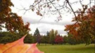 Psalm 23 song, The Lord Is My Shepherd  - Original Song - Mazmur 23 - מזמור 23 - Salmo 23