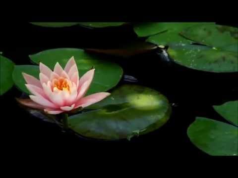 INESSA GALANTE Jewish Folk songs (3 tracks) שירי עם יהודיים