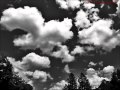 Jimmie Dale Gilmore -  "Nothing of the Kind"