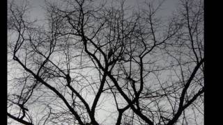 Rob Wanders - I've lost you (K. Howard / A. Blaikley)