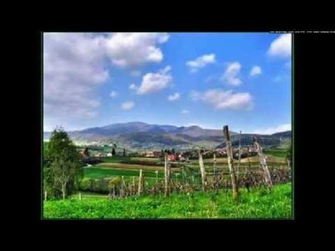 Zvonko Špišic - Suza za zagorske brege