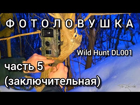 Фотоловушка Wild Hunt DL001 / Сдал обратно / Часть 5