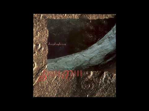 David Sylvian - Silver Moon (1986) full 12" Single