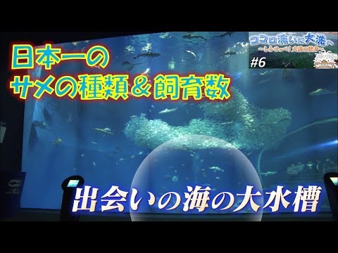 人間発達文化学類 大洗町ＰＲ動画「ココロ洗いに　大洗へ　～しらせっぺ！大洗の魅力～」chapter.6【公式】