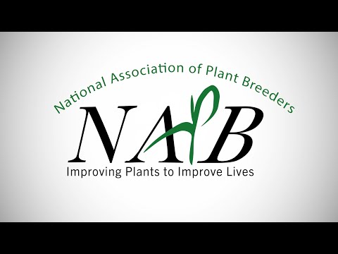 NAPB 2023