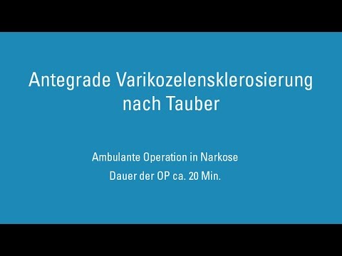 Histologische Untersuchung von Biopsiematerial Prostata Schmerz Exazerbation der Prostatitis