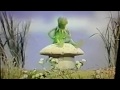 Classic Sesame Street Kermit Talks About Your Neck Better Copy