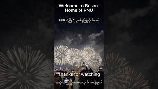 부산이 하늘을 밝히다 – 2025 불꽃 축제ㅣBusan Lights Up the Sky – 2025 Fireworks Festival