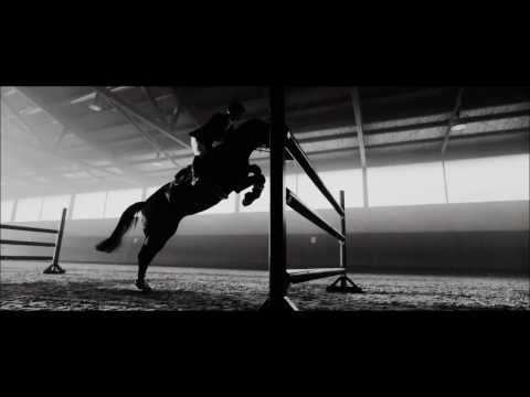 Just a Dream...Cavalli