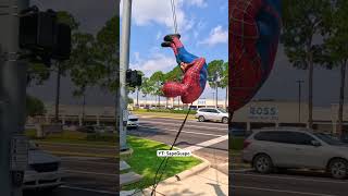 Cover art for diller