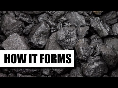 How Coal is Formed