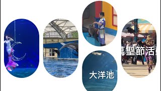 花蓮遠雄美人魚實境秀+海豚海獅表演+水族館+萬聖節+纜車遊樂園+悅來飯店認識青蛙體驗