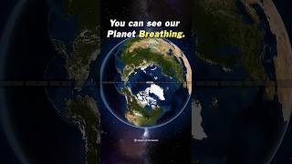 Breathing Earth - Earth&#39;s Seasons Time Lapse From Space