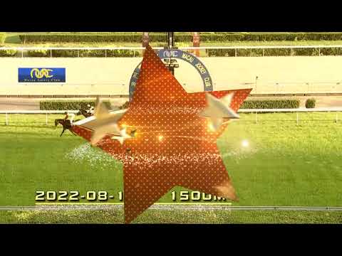 2022-08-14 Macau Meeting Race 4(0327) - THE DIAMOND HILL PEARL GREEN