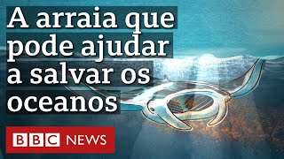 Miniatura do vídeo