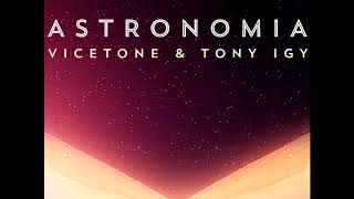 Download lagu Vicetone Tony Igy Astronomia... mp3