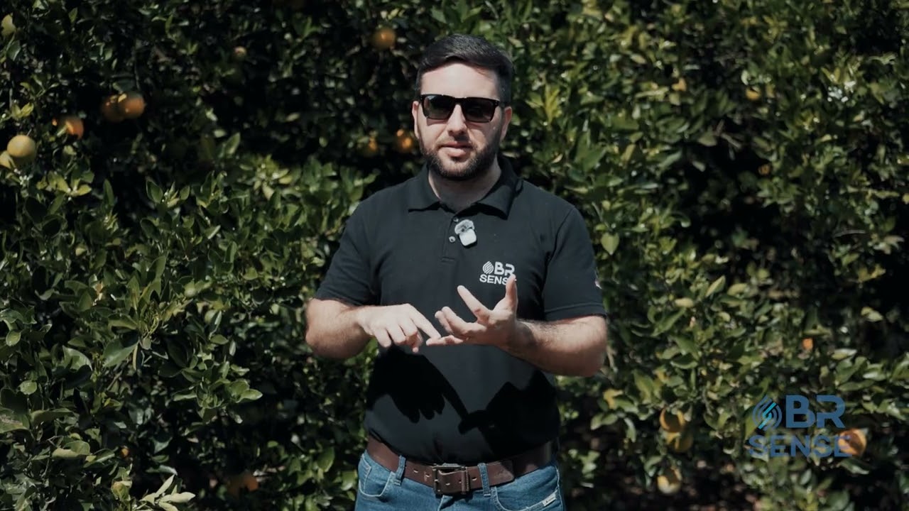 Como a BR Sense pode ajudar o produtor rural - Serviços e Produtos BR Sense