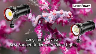 These Cheap Underwater Lights Surprised Me After 100 Dives