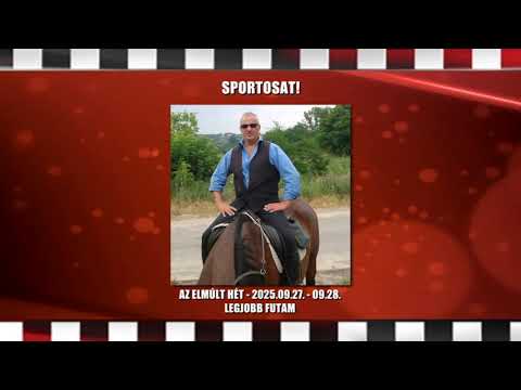 Lósport: Galopp és ügető