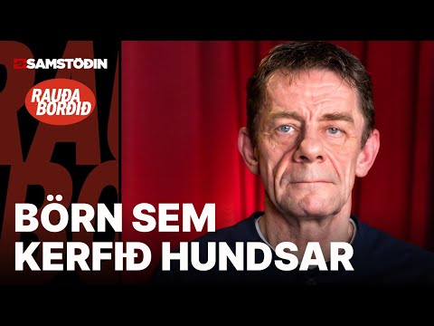 Dapurleg örlög margra Stuðlabarna