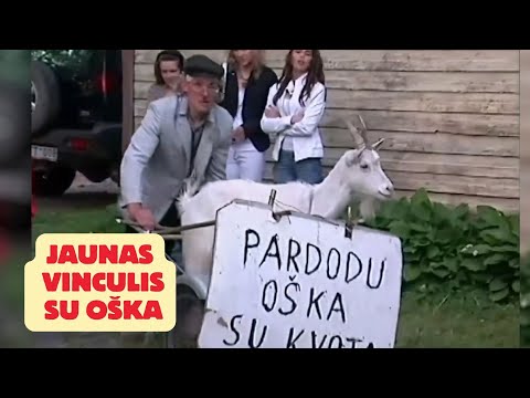 Jaunas Vinculis ir oška. 2008 m.