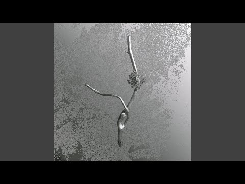 video frame placeholder