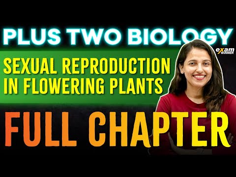 Plus Two Biology | Chapter 1 | Sexual Reproduction In Flowering Plants | Oneshot | Exam Winner