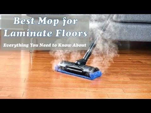 download lagu mp3 mp4 Best Floor Mop For Laminate Floors, download lagu Best Floor Mop For Laminate Floors gratis, unduh video klip Best Floor Mop For Laminate Floors