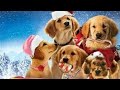 Santa Buddies DVD 2009 Opening