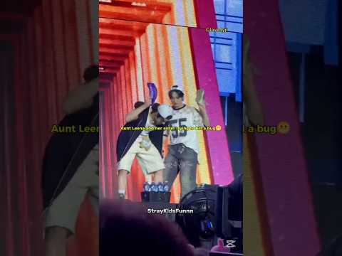 the bug messed with wrong aunties 😤 #jeongmin #leeknow #jeongin#straykids#dominate_frankfurt#shorts