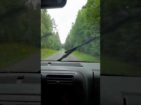 Test hur långt en burk björk räcker.