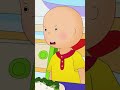 Caillou Gets Grounded Shorts