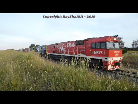 6MA5 - NR75-NR58 (PacNat) Bannockburn - Australian Trains by Raysha1811