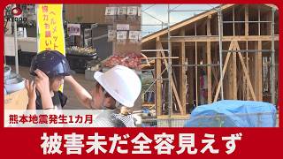 被害未だ全容見えず 熊本地震発生1カ月