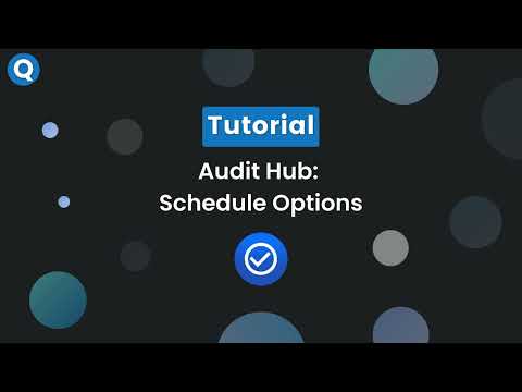 Audit Hub - Schedule Options